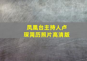 凤凰台主持人卢琛简历照片高清版