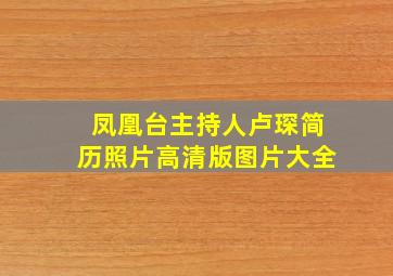 凤凰台主持人卢琛简历照片高清版图片大全