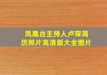 凤凰台主持人卢琛简历照片高清版大全图片