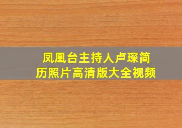 凤凰台主持人卢琛简历照片高清版大全视频