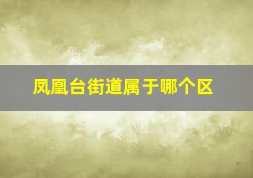 凤凰台街道属于哪个区