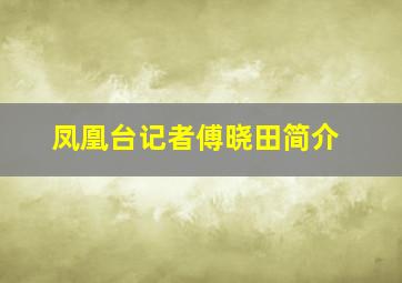 凤凰台记者傅晓田简介