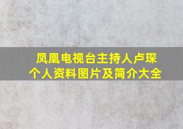 凤凰电视台主持人卢琛个人资料图片及简介大全