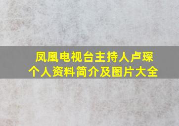 凤凰电视台主持人卢琛个人资料简介及图片大全