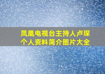 凤凰电视台主持人卢琛个人资料简介图片大全