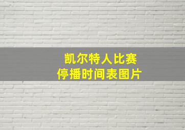 凯尔特人比赛停播时间表图片