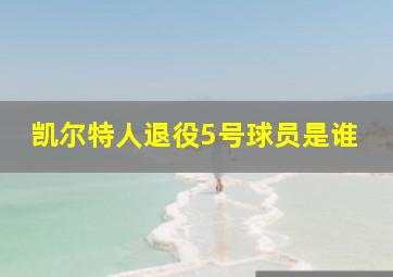 凯尔特人退役5号球员是谁