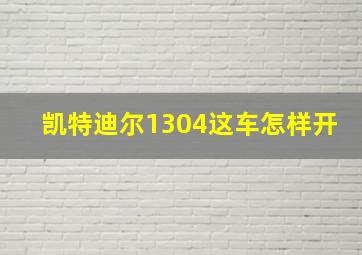 凯特迪尔1304这车怎样开