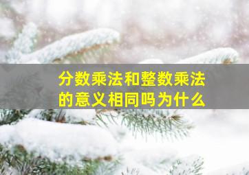 分数乘法和整数乘法的意义相同吗为什么