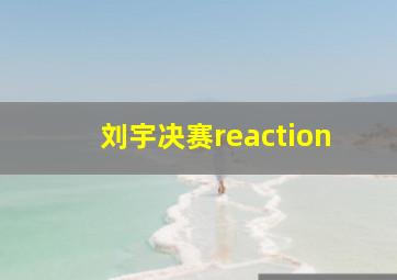 刘宇决赛reaction