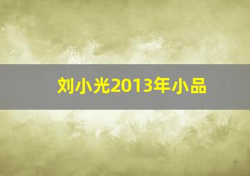 刘小光2013年小品