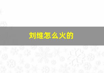 刘维怎么火的