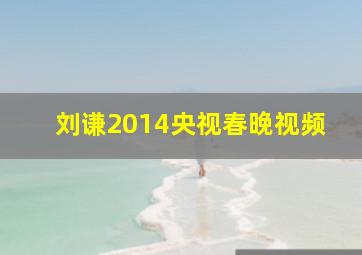 刘谦2014央视春晚视频