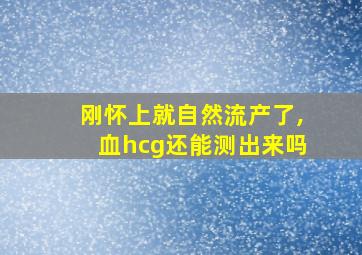 刚怀上就自然流产了,血hcg还能测出来吗