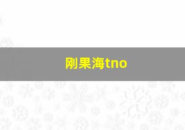 刚果海tno