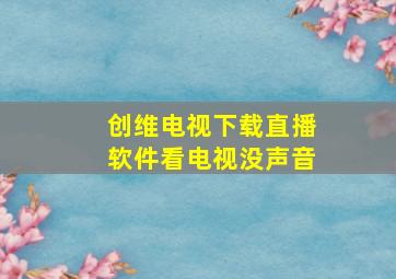 创维电视下载直播软件看电视没声音