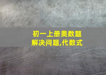 初一上册奥数题解决问题,代数式