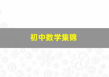 初中数学集锦