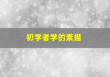 初学者学的素描