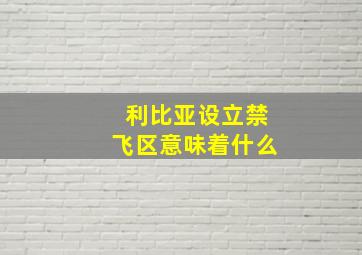 利比亚设立禁飞区意味着什么