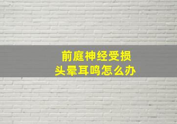 前庭神经受损头晕耳鸣怎么办