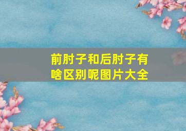 前肘子和后肘子有啥区别呢图片大全