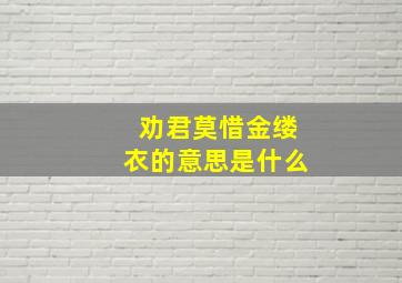 劝君莫惜金缕衣的意思是什么