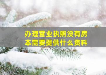 办理营业执照没有房本需要提供什么资料