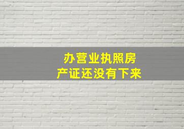 办营业执照房产证还没有下来