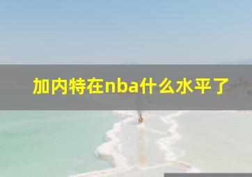 加内特在nba什么水平了