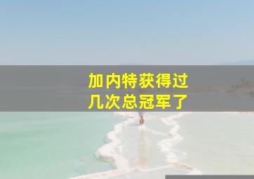 加内特获得过几次总冠军了