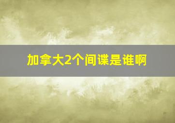 加拿大2个间谍是谁啊