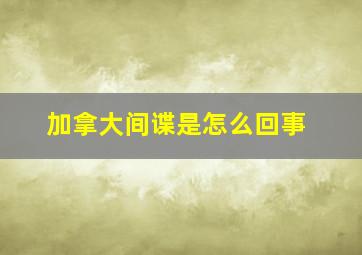 加拿大间谍是怎么回事