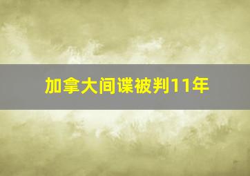 加拿大间谍被判11年