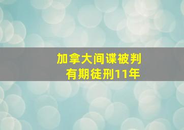 加拿大间谍被判有期徒刑11年