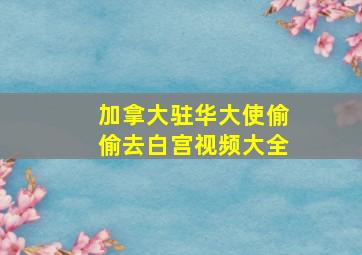 加拿大驻华大使偷偷去白宫视频大全