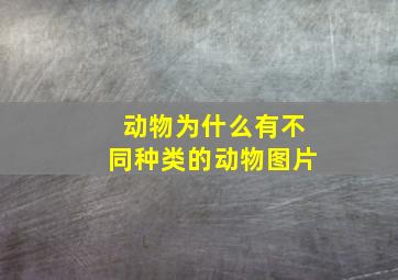 动物为什么有不同种类的动物图片