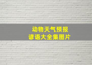 动物天气预报谚语大全集图片