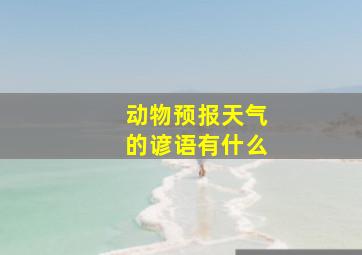 动物预报天气的谚语有什么