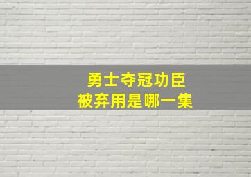 勇士夺冠功臣被弃用是哪一集