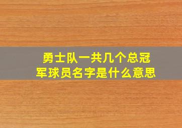 勇士队一共几个总冠军球员名字是什么意思