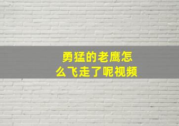 勇猛的老鹰怎么飞走了呢视频