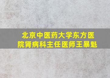 北京中医药大学东方医院肾病科主任医师王暴魁