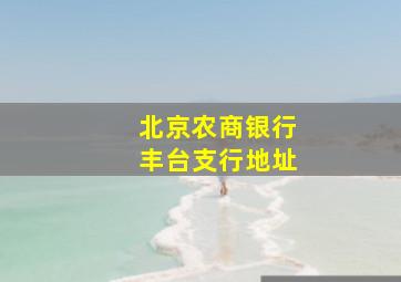 北京农商银行丰台支行地址