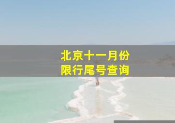 北京十一月份限行尾号查询