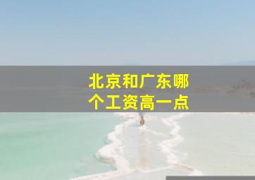 北京和广东哪个工资高一点