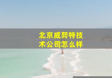 北京威努特技术公司怎么样