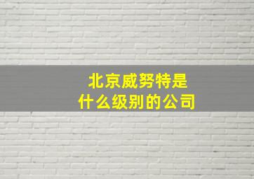 北京威努特是什么级别的公司