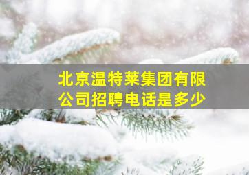 北京温特莱集团有限公司招聘电话是多少