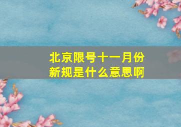 北京限号十一月份新规是什么意思啊